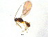  ( - BIOUG04577-B02)  @13 [ ] CreativeCommons - Attribution (2013) CBG Photography Group Centre for Biodiversity Genomics