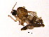  ( - BIOUG04608-G02)  @13 [ ] CreativeCommons - Attribution (2013) CBG Photography Group Centre for Biodiversity Genomics