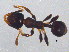  ( - BIOUG04863-E03)  @13 [ ] CreativeCommons - Attribution (2013) CBG Photography Group Centre for Biodiversity Genomics