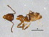  ( - BIOUG04863-G02)  @12 [ ] CreativeCommons - Attribution (2013) CBG Photography Group Centre for Biodiversity Genomics