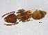  ( - BIOUG04863-G08)  @12 [ ] CreativeCommons - Attribution (2013) CBG Photography Group Centre for Biodiversity Genomics