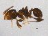  ( - BIOUG05025-B07)  @13 [ ] CreativeCommons - Attribution (2013) CBG Photography Group Centre for Biodiversity Genomics