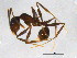  ( - BIOUG05025-H10)  @12 [ ] CreativeCommons - Attribution (2013) CBG Photography Group Centre for Biodiversity Genomics
