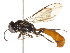  ( - BIOUG05145-B07)  @14 [ ] CreativeCommons - Attribution (2013) CBG Photography Group Centre for Biodiversity Genomics