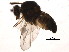 ( - BIOUG05067-F04)  @11 [ ] CreativeCommons - Attribution (2015) CBG Photography Group Centre for Biodiversity Genomics