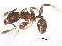  ( - BIOUG08167-D01)  @13 [ ] CreativeCommons - Attribution (2014) CBG Photography Group Centre for Biodiversity Genomics