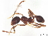  ( - BIOUG08167-H02)  @11 [ ] CreativeCommons - Attribution (2022) CBG Photography Group Centre for Biodiversity Genomics