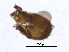  ( - BIOUG08168-B10)  @11 [ ] CreativeCommons - Attribution (2015) CBG Photography Group Centre for Biodiversity Genomics