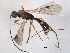  (Bolivar - BIOUG08334-E02)  @13 [ ] CreativeCommons - Attribution (2014) CBG Photography Group Centre for Biodiversity Genomics