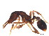  ( - BIOUG08334-E12)  @13 [ ] CreativeCommons - Attribution (2014) CBG Photography Group Centre for Biodiversity Genomics