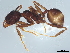  ( - BIOUG18194-G10)  @11 [ ] CreativeCommons - Attribution (2022) CBG Photography Group Centre for Biodiversity Genomics