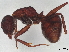  ( - BIOUG18849-D12)  @11 [ ] CreativeCommons - Attribution (2022) CBG Photography Group Centre for Biodiversity Genomics