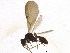  ( - BIOUG18848-H04)  @13 [ ] CreativeCommons - Attribution (2016) CBG Photography Group Centre for Biodiversity Genomics