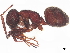  ( - BIOUG18855-E07)  @11 [ ] CreativeCommons - Attribution (2022) CBG Photography Group Centre for Biodiversity Genomics