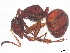  ( - BIOUG19138-B05)  @11 [ ] CreativeCommons - Attribution (2022) CBG Photography Group Centre for Biodiversity Genomics