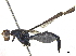  ( - BIOUG19609-G02)  @11 [ ] CreativeCommons - Attribution (2019) CBG Photography Group Centre for Biodiversity Genomics