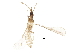  ( - BIOUG26910-E03)  @14 [ ] CreativeCommons - Attribution (2016) CBG Photography Group Centre for Biodiversity Genomics