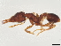  ( - BIOUG26860-E11)  @11 [ ] CreativeCommons - Attribution (2022) CBG Photography Group Centre for Biodiversity Genomics