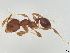 ( - BIOUG28446-C10)  @11 [ ] CreativeCommons - Attribution (2022) CBG Photography Group Centre for Biodiversity Genomics