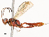  ( - CBG-A65296-B07)  @11 [ ] CreativeCommons - Attribution Share - Alike (2025) CBG Photography Group Centre for Biodiversity Genomics