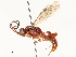  ( - CBG-A65296-E10)  @11 [ ] CreativeCommons - Attribution Share - Alike (2025) CBG Photography Group Centre for Biodiversity Genomics