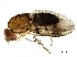  ( - BIOUG39729-C12)  @11 [ ] CreativeCommons - Attribution (2019) CBG Photography Group Centre for Biodiversity Genomics