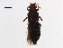  ( - BIOUG39863-G07)  @11 [ ] CreativeCommons - Attribution (2019) CBG Photography Group Centre for Biodiversity Genomics