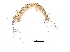  ( - BIOUG33993-G04)  @11 [ ] CreativeCommons - Attribution (2018) CBG Photography Group Centre for Biodiversity Genomics