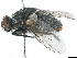  ( - BIOUG48407-C04)  @11 [ ] CreativeCommons - Attribution (2020) CBG Photography Group Centre for Biodiversity Genomics
