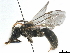 ( - BIOUG48412-G09)  @11 [ ] CreativeCommons - Attribution (2020) CBG Photography Group Centre for Biodiversity Genomics