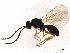  ( - BIOUG49882-B08)  @11 [ ] CreativeCommons - Attribution (2021) CBG Photography Group Centre for Biodiversity Genomics