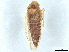  ( - BIOUG25769-E12)  @11 [ ] CreativeCommons - Attribution (2022) CBG Photography Group Centre for Biodiversity Genomics