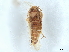  ( - BIOUG25950-A04)  @11 [ ] CreativeCommons - Attribution (2022) CBG Photography Group Centre for Biodiversity Genomics