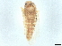  ( - BIOUG26046-A12)  @11 [ ] CreativeCommons - Attribution (2022) CBG Photography Group Centre for Biodiversity Genomics