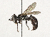  ( - BIOUG26705-C09)  @11 [ ] CreativeCommons - Attribution (2024) CBG Photography Group Centre for Biodiversity Genomics