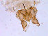  ( - PSY233MMX)  @12 [ ] CreativeCommons - Attribution Non-Commercial Share-Alike (2011) Gunnar M.Kvifte Unspecified
