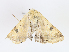  ( - CBG-A08784-E04)  @11 [ ] CreativeCommons - Attribution Share - Alike (2023) CBG Photography Group Centre for Biodiversity Genomics