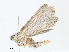  ( - CBG-A08787-F10)  @11 [ ] CreativeCommons - Attribution Share - Alike (2023) CBG Photography Group Centre for Biodiversity Genomics