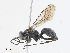  ( - CBG-A08788-B02)  @11 [ ] CreativeCommons - Attribution Share - Alike (2023) CBG Photography Group Centre for Biodiversity Genomics