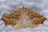  ( - 2008GM-0033)  @14 [ ] Copyright (2010) Unspecified Unspecified
