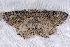  ( - 2008GM-0042)  @14 [ ] Copyright (2010) Unspecified Unspecified