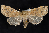  ( - 2008GM-0045)  @14 [ ] Copyright (2010) Unspecified Unspecified