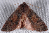  ( - 2008GM-0073)  @13 [ ] Copyright (2010) Unspecified Unspecified