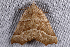  ( - 2008GM-0080)  @13 [ ] Copyright (2010) Unspecified Unspecified