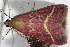  ( - 2008GM-0111)  @13 [ ] Copyright (2010) Unspecified Unspecified