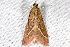  ( - 2009GM-0073)  @13 [ ] Copyright (2011) Gary McDonald Unspecified