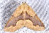  ( - 2009GM-0136)  @13 [ ] Copyright (2011) Gary McDonald Unspecified