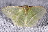  ( - 2009GM-0142)  @13 [ ] Copyright (2011) Gary McDonald Unspecified