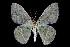 ( - 2009GM-0142)  @13 [ ] Copyright (2011) Gary McDonald Unspecified