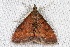  ( - 2009GM-0146)  @13 [ ] Copyright (2011) Gary McDonald Unspecified